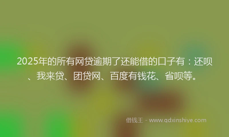 2025年的所有网贷逾期了还能借的口子有：还呗、我来贷、团贷网、百度有钱花、省呗等。