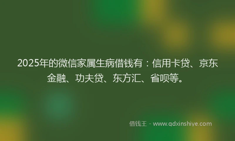 2025年的微信家属生病借钱有：信用卡贷、京东金融、功夫贷、东方汇、省呗等。