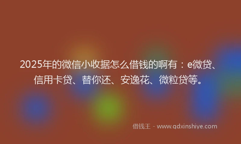 2025年的微信小收据怎么借钱的啊有：e微贷、信用卡贷、替你还、安逸花、微粒贷等。