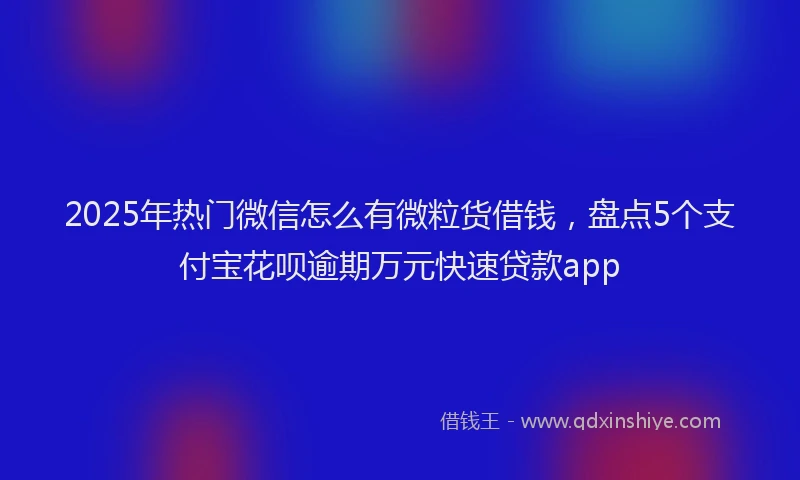 2025年热门微信怎么有微粒货借钱，盘点5个支付宝花呗逾期万元快速贷款app
