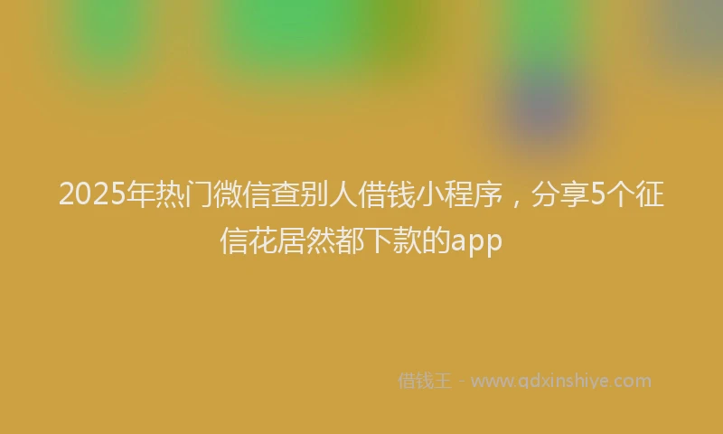 2025年热门微信查别人借钱小程序，分享5个征信花居然都下款的app
