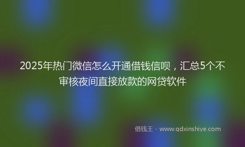 2025年热门微信怎么开通借钱信呗，汇总5个不审核夜间直接放款的网贷软件