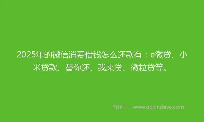 2025年的微信消费借钱怎么还款有：e微贷、小米贷款、替你还、我来贷、微粒贷等。
