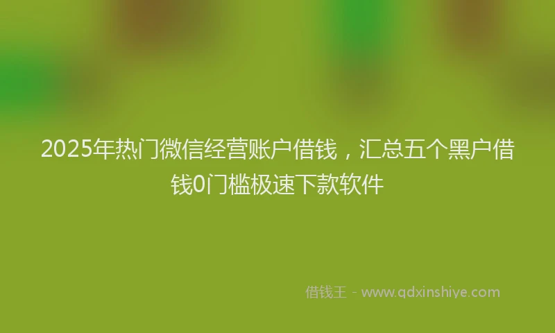 2025年热门微信经营账户借钱，汇总五个黑户借钱0门槛极速下款软件