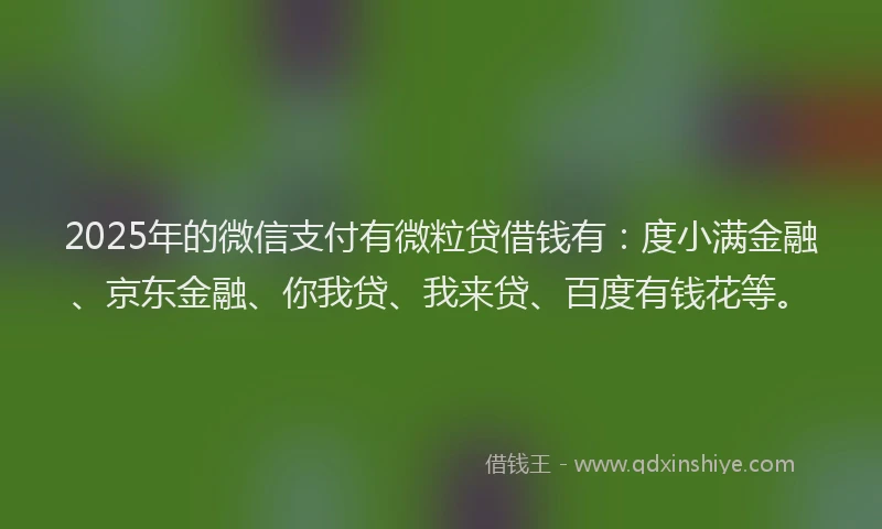 2025年的微信支付有微粒贷借钱有：度小满金融、京东金融、你我贷、我来贷、百度有钱花等。