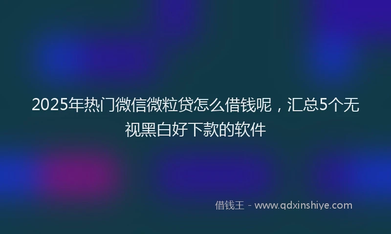 2025年热门微信微粒贷怎么借钱呢，汇总5个无视黑白好下款的软件