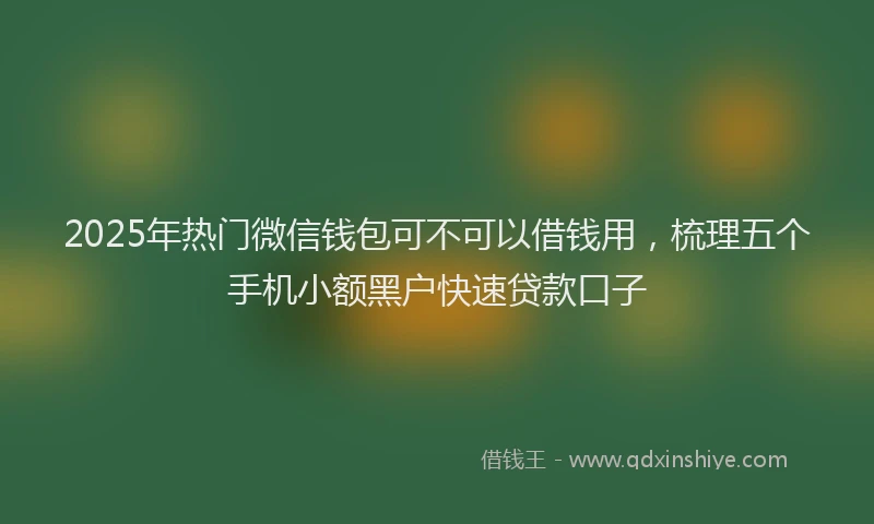 2025年热门微信钱包可不可以借钱用，梳理五个手机小额黑户快速贷款口子