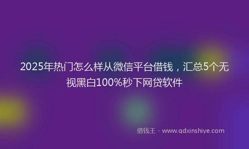 2025年热门怎么样从微信平台借钱，汇总5个无视黑白100%秒下网贷软件
