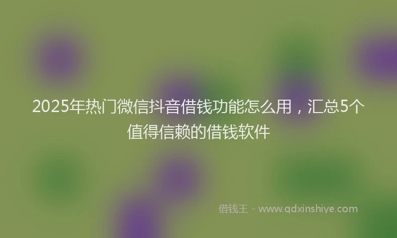 2025年热门微信抖音借钱功能怎么用，汇总5个值得信赖的借钱软件