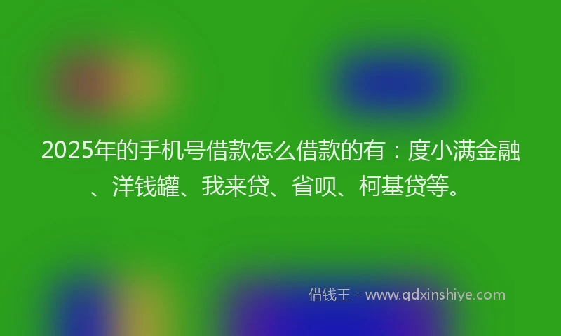 2025年的手机号借款怎么借款的有：度小满金融、洋钱罐、我来贷、省呗、柯基贷等。