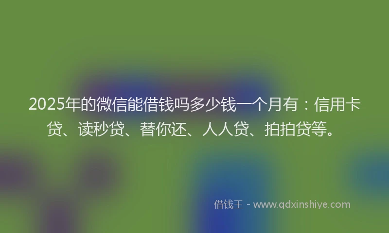 2025年的微信能借钱吗多少钱一个月有：信用卡贷、读秒贷、替你还、人人贷、拍拍贷等。