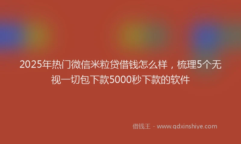 2025年热门微信米粒贷借钱怎么样，梳理5个无视一切包下款5000秒下款的软件