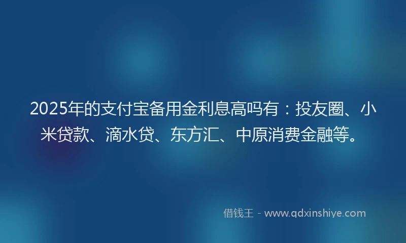 2025年的支付宝备用金利息高吗有：投友圈、小米贷款、滴水贷、东方汇、中原消费金融等。