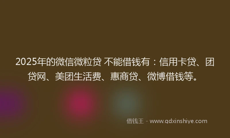 2025年的微信微粒贷 不能借钱有：信用卡贷、团贷网、美团生活费、惠商贷、微博借钱等。