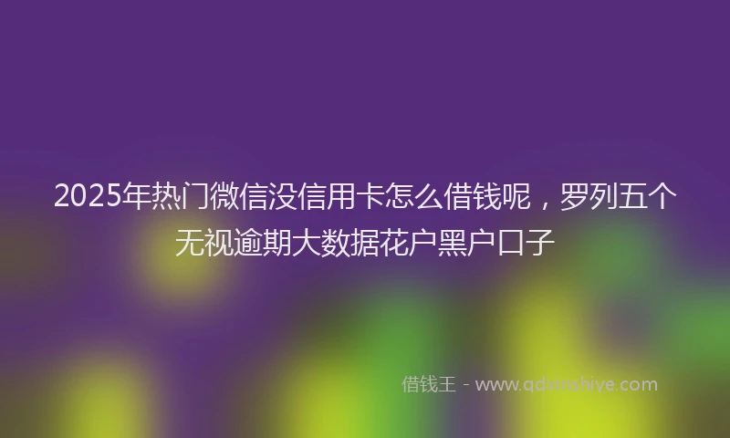 2025年热门微信没信用卡怎么借钱呢，罗列五个无视逾期大数据花户黑户口子