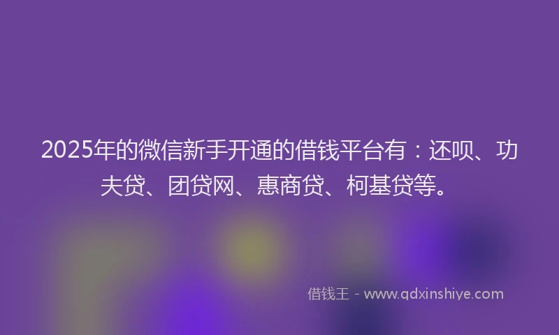 2025年的微信新手开通的借钱平台有：还呗、功夫贷、团贷网、惠商贷、柯基贷等。