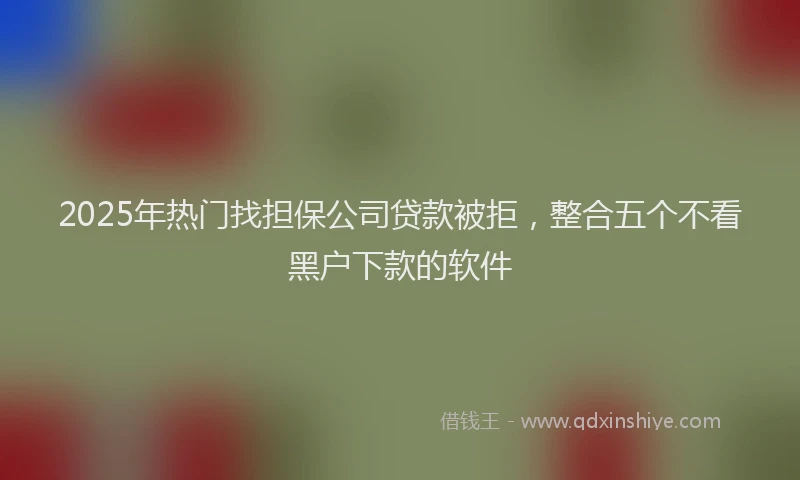 2025年热门找担保公司贷款被拒，整合五个不看黑户下款的软件