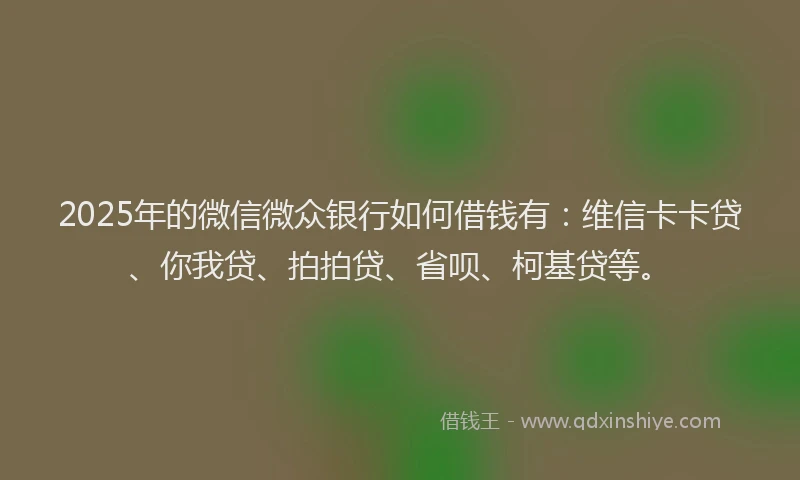 2025年的微信微众银行如何借钱有：维信卡卡贷、你我贷、拍拍贷、省呗、柯基贷等。