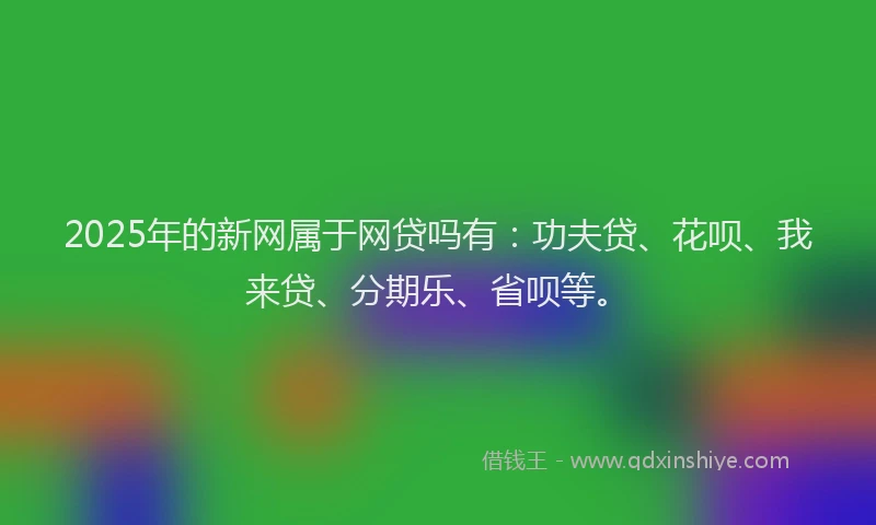 2025年的新网属于网贷吗有：功夫贷、花呗、我来贷、分期乐、省呗等。