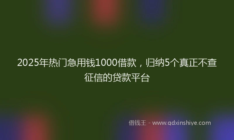 2025年热门急用钱1000借款，归纳5个真正不查征信的贷款平台