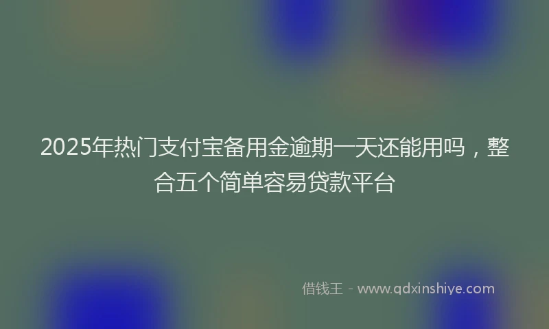 2025年热门支付宝备用金逾期一天还能用吗，整合五个简单容易贷款平台