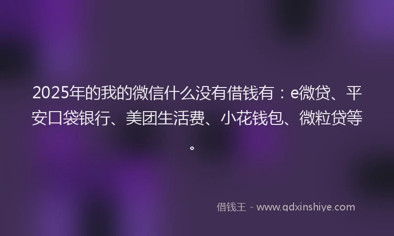 2025年的我的微信什么没有借钱有：e微贷、平安口袋银行、美团生活费、小花钱包、微粒贷等。