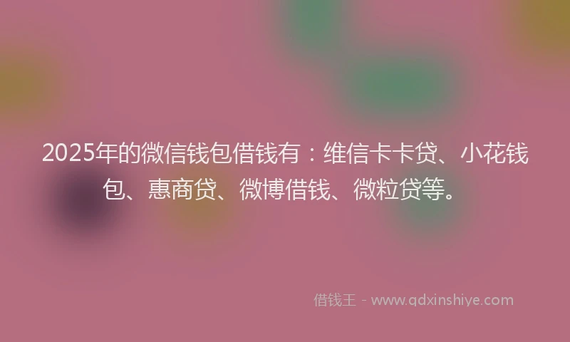 2025年的微信钱包借钱有：维信卡卡贷、小花钱包、惠商贷、微博借钱、微粒贷等。