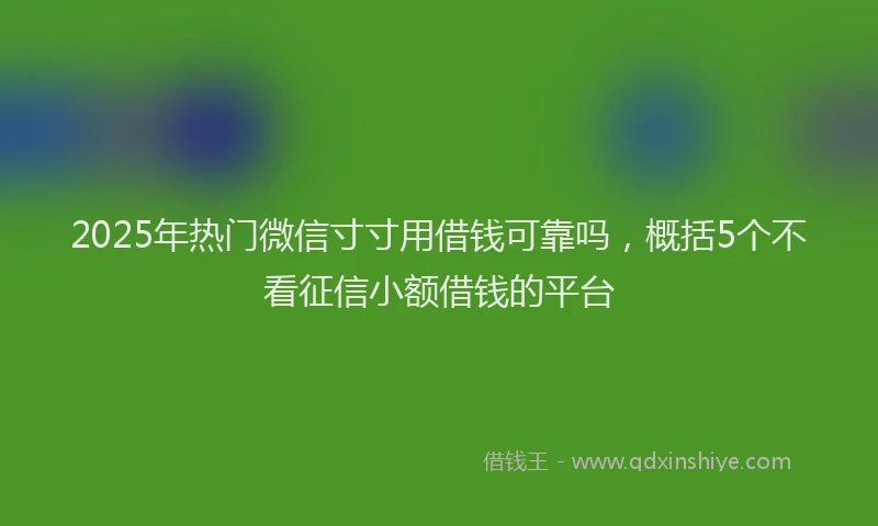 2025年热门微信寸寸用借钱可靠吗，概括5个不看征信小额借钱的平台