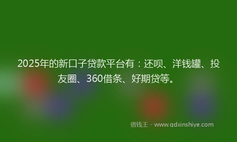 2025年的新口子贷款平台有：还呗、洋钱罐、投友圈、360借条、好期贷等。