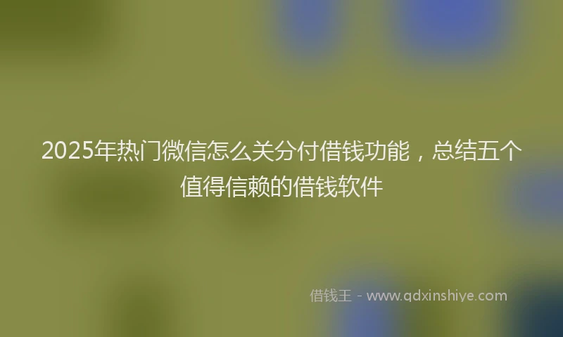2025年热门微信怎么关分付借钱功能，总结五个值得信赖的借钱软件