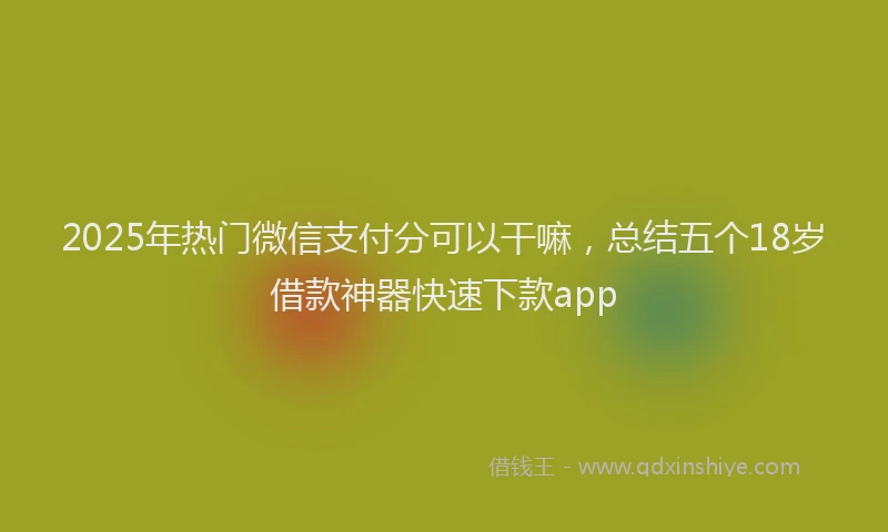 2025年热门微信支付分可以干嘛，总结五个18岁借款神器快速下款app