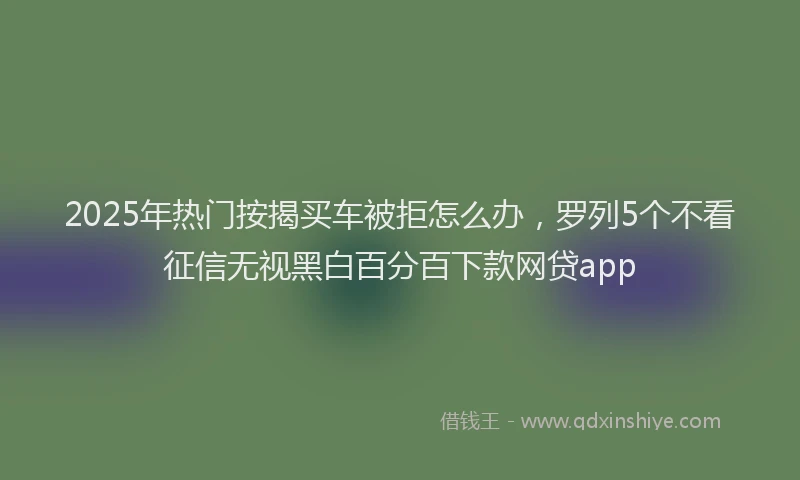 2025年热门按揭买车被拒怎么办，罗列5个不看征信无视黑白百分百下款网贷app