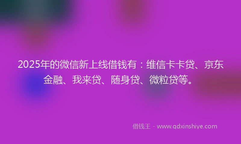 2025年的微信新上线借钱有：维信卡卡贷、京东金融、我来贷、随身贷、微粒贷等。