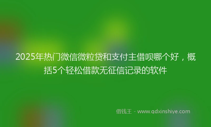2025年热门微信微粒贷和支付主借呗哪个好，概括5个轻松借款无征信记录的软件