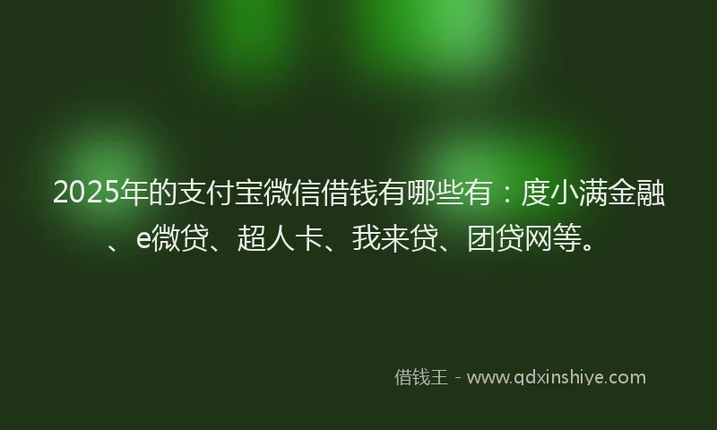 2025年的支付宝微信借钱有哪些有：度小满金融、e微贷、超人卡、我来贷、团贷网等。