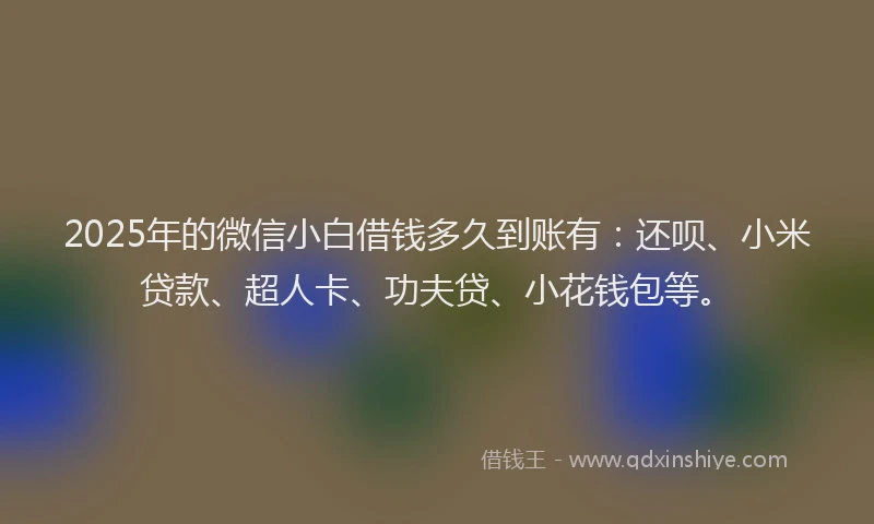2025年的微信小白借钱多久到账有：还呗、小米贷款、超人卡、功夫贷、小花钱包等。