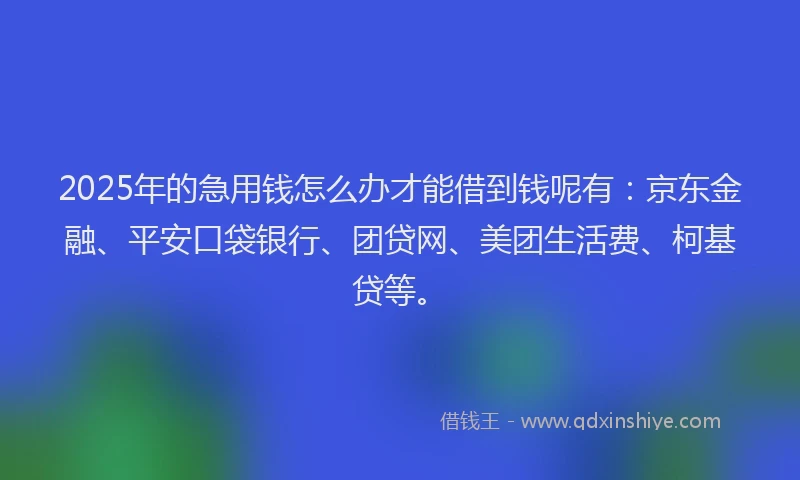 2025年的急用钱怎么办才能借到钱呢有：京东金融、平安口袋银行、团贷网、美团生活费、柯基贷等。