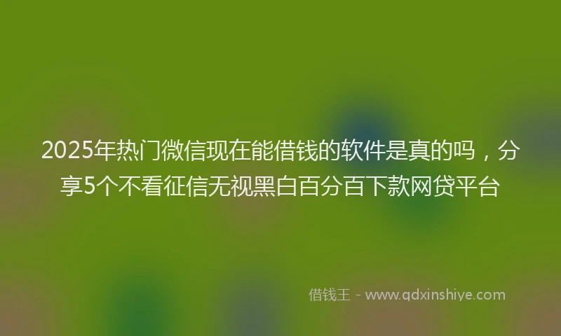 2025年热门微信现在能借钱的软件是真的吗，分享5个不看征信无视黑白百分百下款网贷平台