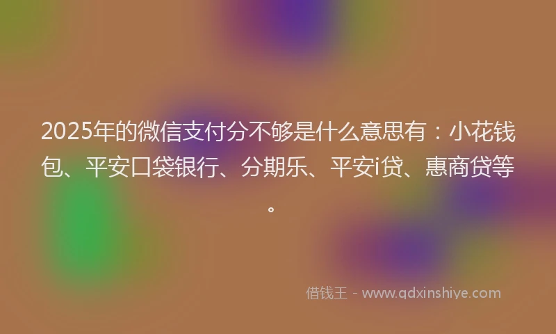 2025年的微信支付分不够是什么意思有：小花钱包、平安口袋银行、分期乐、平安i贷、惠商贷等。