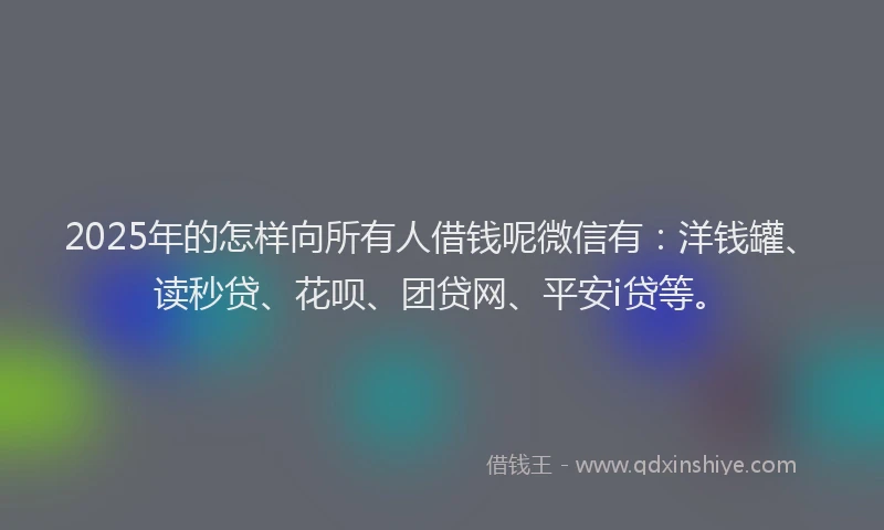 2025年的怎样向所有人借钱呢微信有：洋钱罐、读秒贷、花呗、团贷网、平安i贷等。
