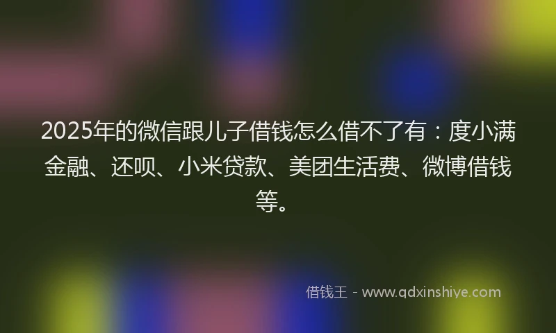 2025年的微信跟儿子借钱怎么借不了有：度小满金融、还呗、小米贷款、美团生活费、微博借钱等。