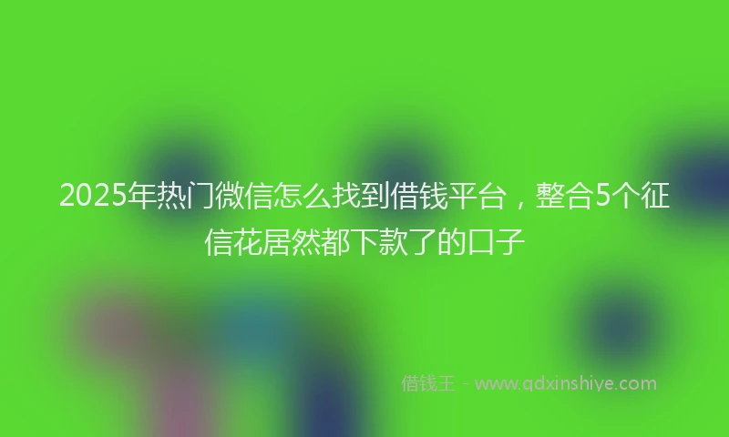 2025年热门微信怎么找到借钱平台，整合5个征信花居然都下款了的口子