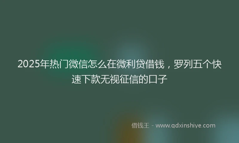 2025年热门微信怎么在微利贷借钱，罗列五个快速下款无视征信的口子