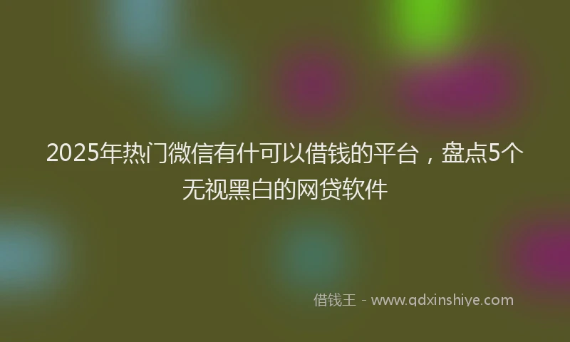 2025年热门微信有什可以借钱的平台，盘点5个无视黑白的网贷软件