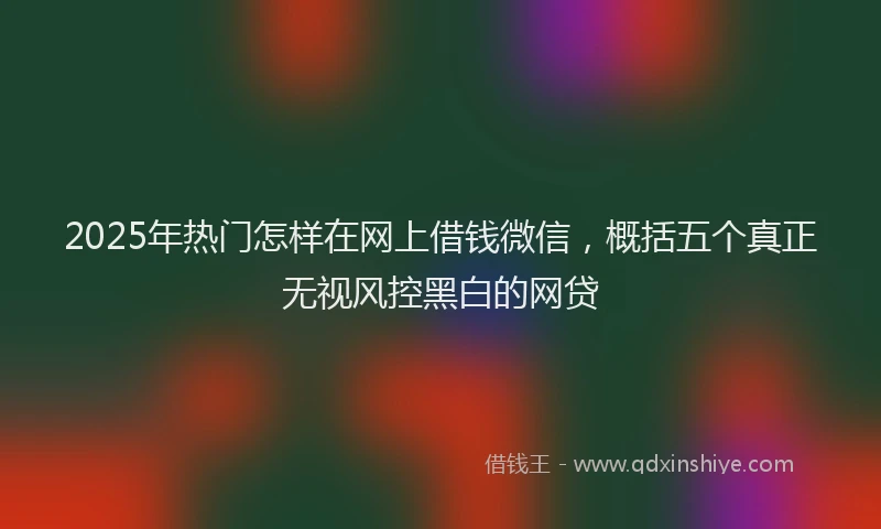 2025年热门怎样在网上借钱微信，概括五个真正无视风控黑白的网贷