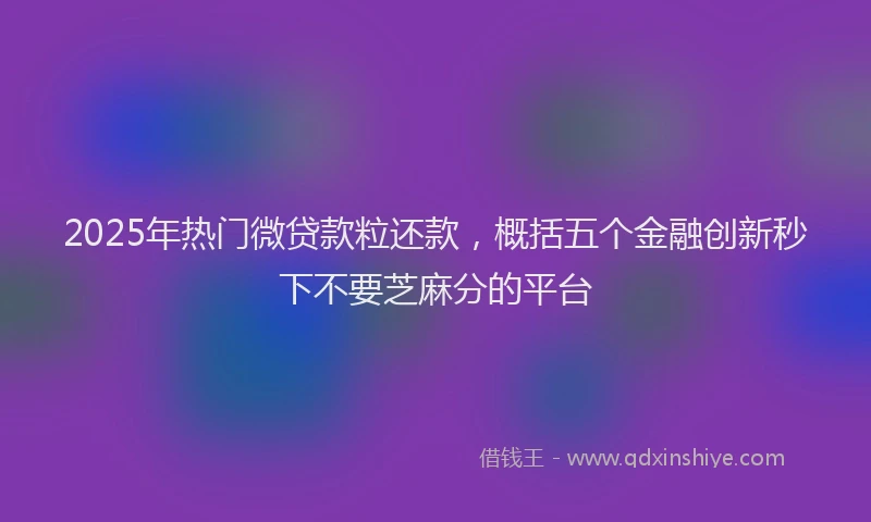 2025年热门微贷款粒还款，概括五个金融创新秒下不要芝麻分的平台
