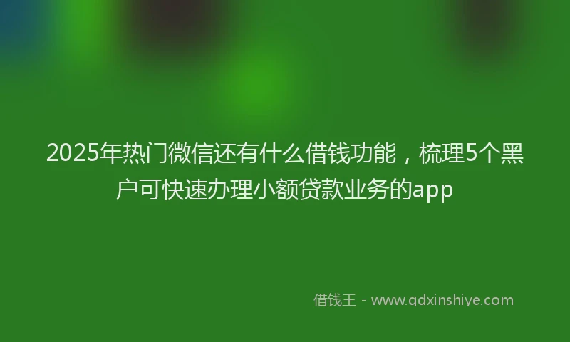 2025年热门微信还有什么借钱功能，梳理5个黑户可快速办理小额贷款业务的app