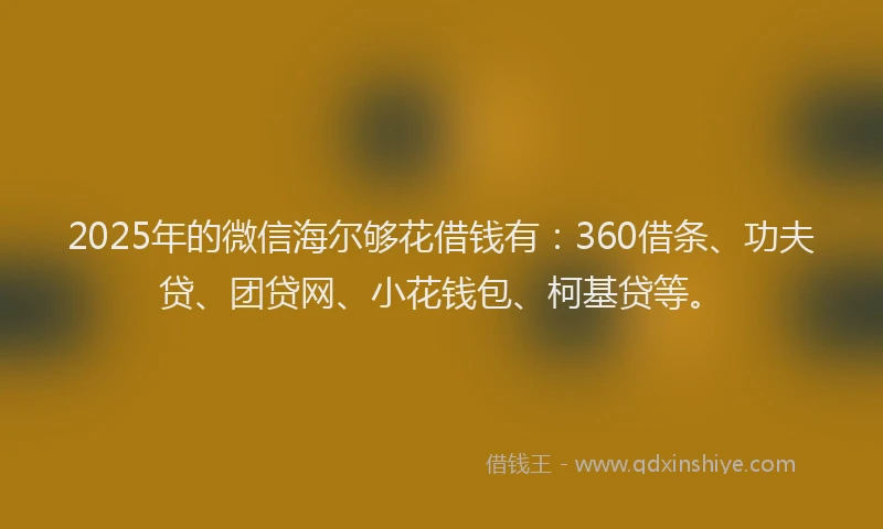 2025年的微信海尔够花借钱有：360借条、功夫贷、团贷网、小花钱包、柯基贷等。