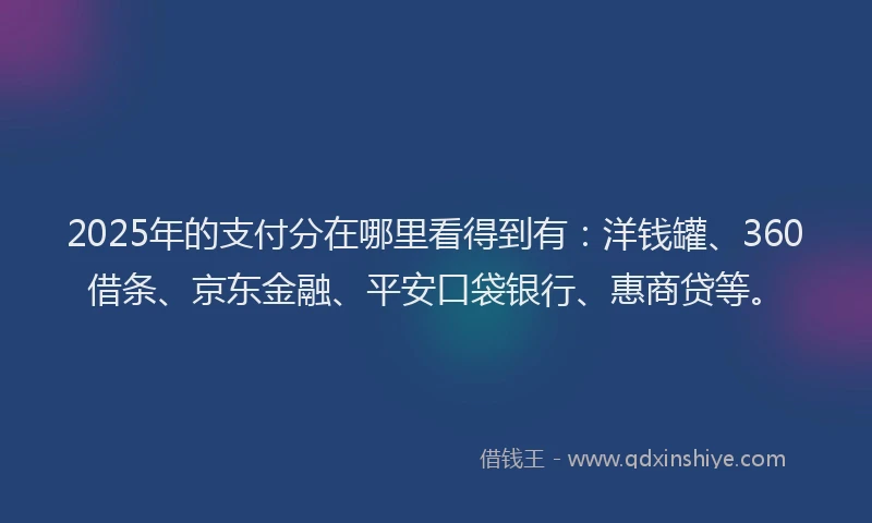 2025年的支付分在哪里看得到有：洋钱罐、360借条、京东金融、平安口袋银行、惠商贷等。