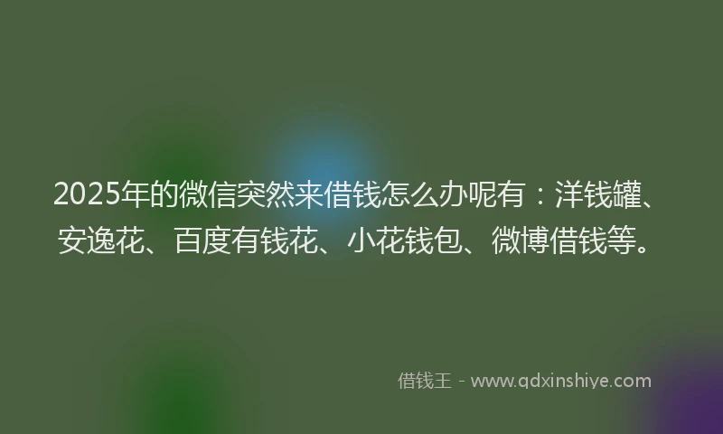 2025年的微信突然来借钱怎么办呢有：洋钱罐、安逸花、百度有钱花、小花钱包、微博借钱等。